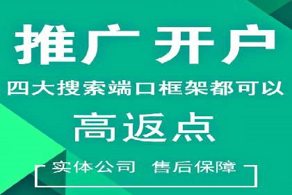 百度竞价SEM策略解析：某品牌广告成功的关键因素